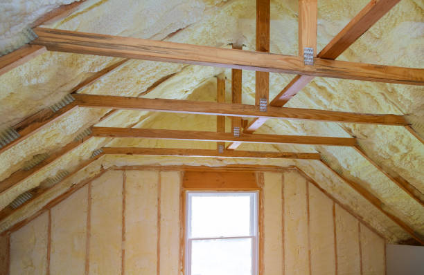 Best Insulation for New Construction  in Lake Dunlap, TX