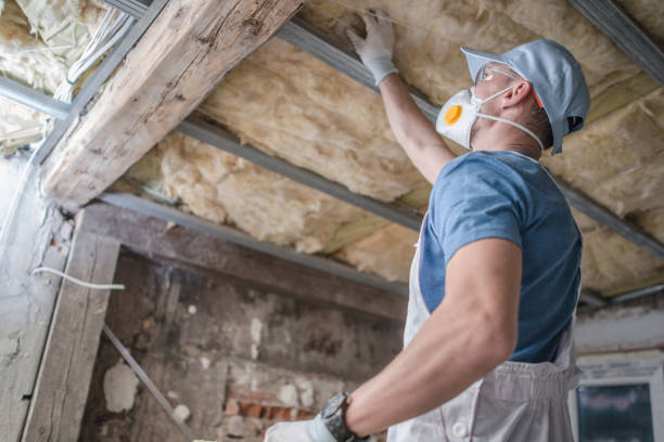 Best Home Insulation Services  in Lake Dunlap, TX