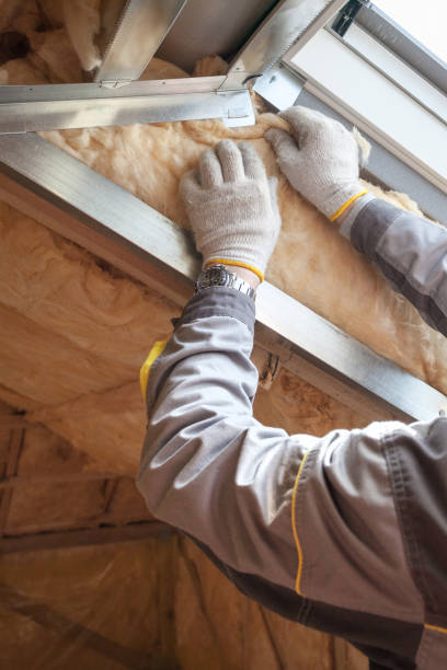 Reliable Lake Dunlap, TX Insulation Contractor Solutions