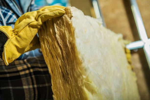 Best Residential Insulation Services  in Lake Dunlap, TX