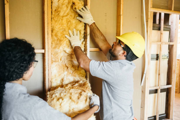 Attic Insulation Near Me in Lake Dunlap, TX