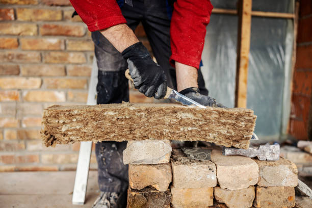 Best Insulation Replacement Services  in Lake Dunlap, TX