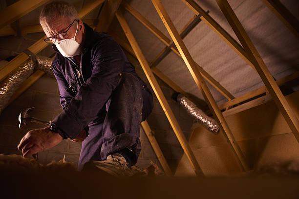 Best Attic Insulation Installation  in Lake Dunlap, TX