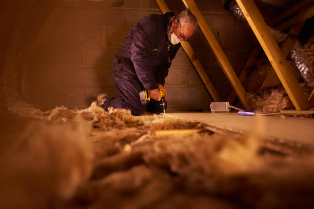 Best Soundproof Insulation Installation  in Lake Dunlap, TX